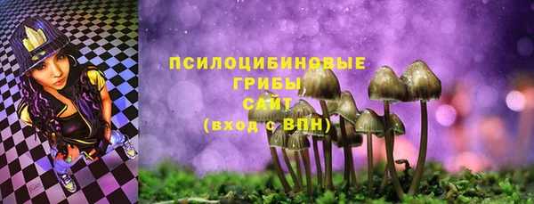 шишки Рославль
