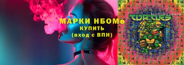 шишки Рославль