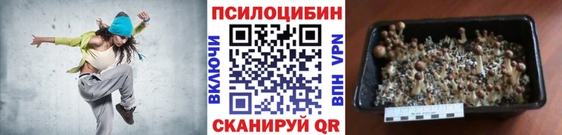 Псилоцибиновые грибы Magic Shrooms  Пойковский 